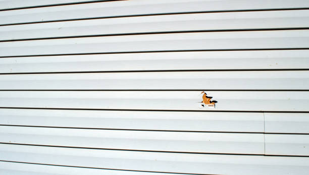 Best Steel Siding Installation  in Rio Vista, CA